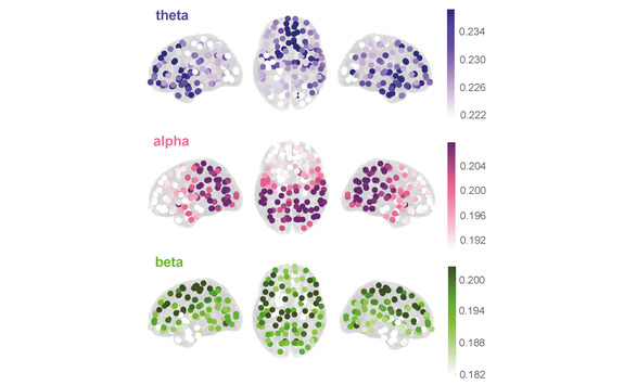 Diagram of theta, alpha and beta brains